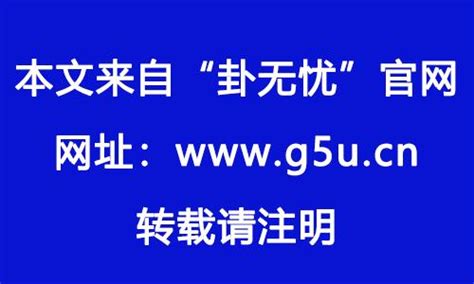 九运离卦|未来20年（2024~2043）：离火九运